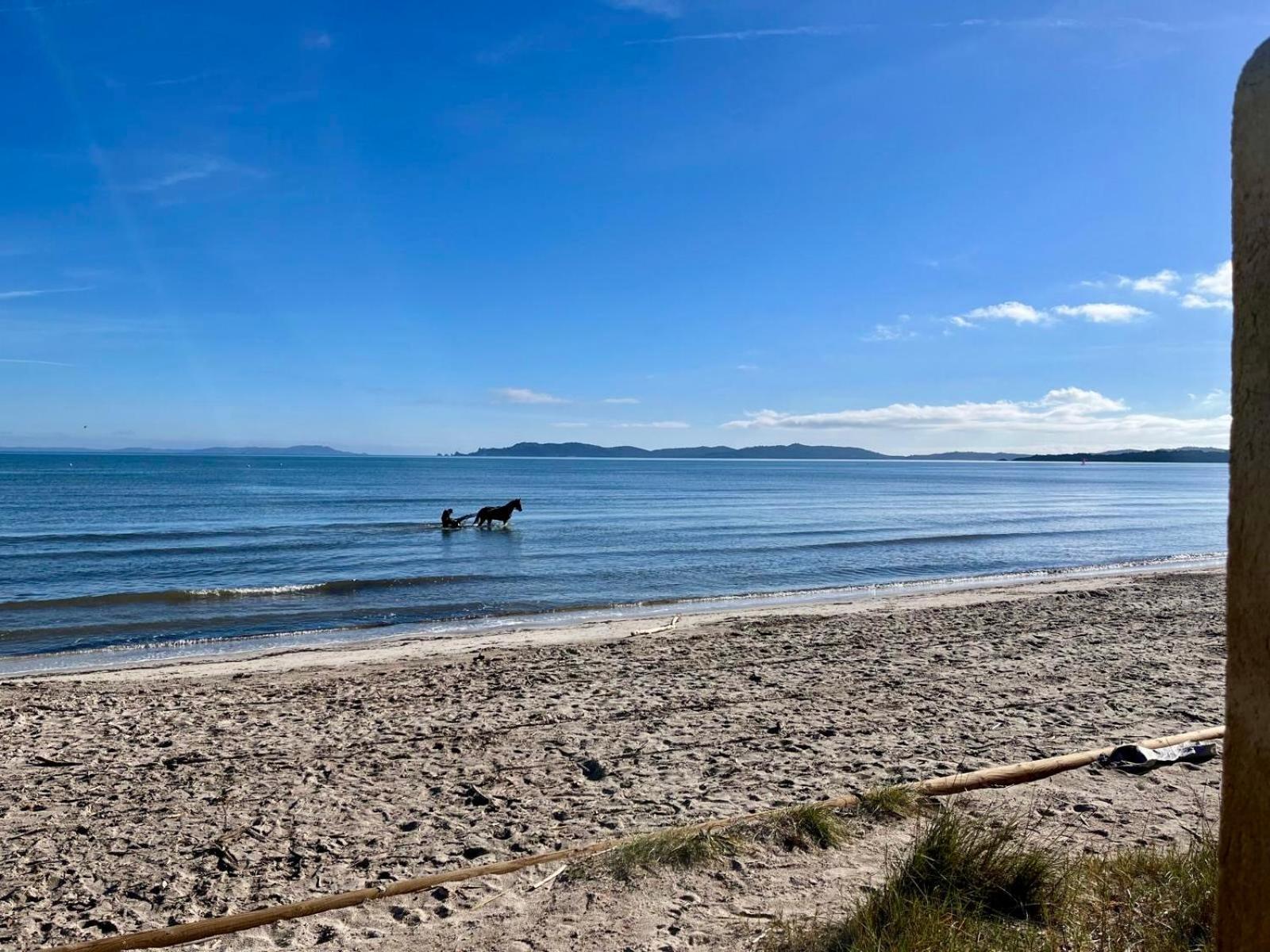 Appartement Luxe Le Levant Hyeres Bagian luar foto
