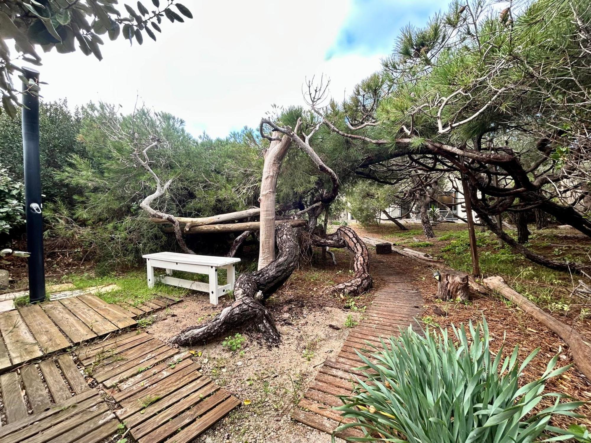 Appartement Luxe Le Levant Hyeres Bagian luar foto